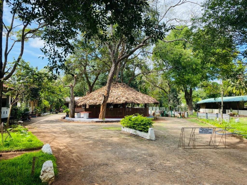 Resthouse Vavuniya Hotel Ngoại thất bức ảnh