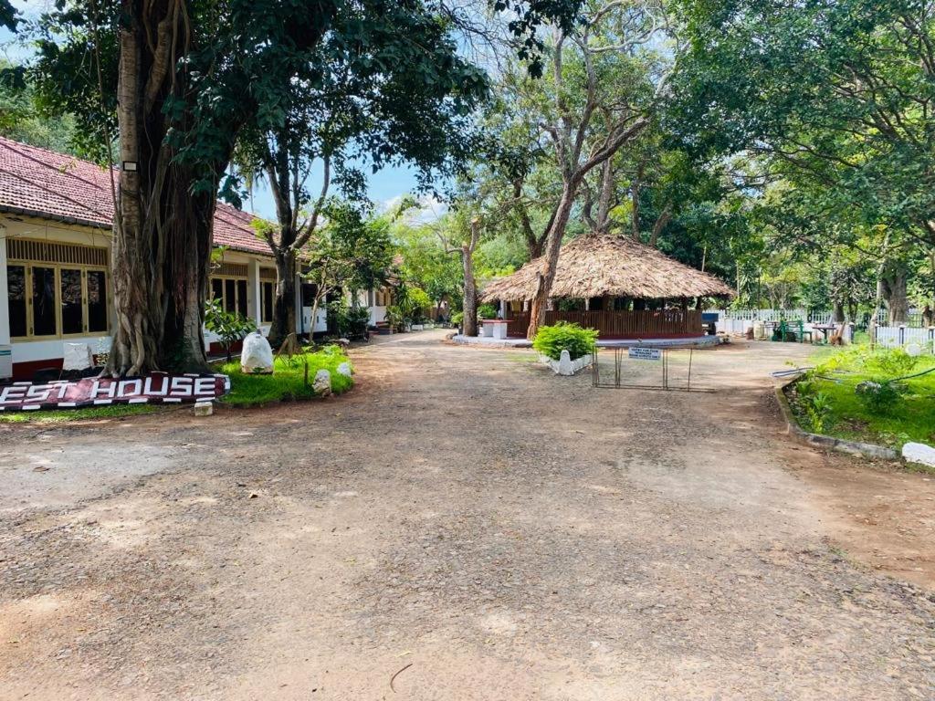 Resthouse Vavuniya Hotel Ngoại thất bức ảnh